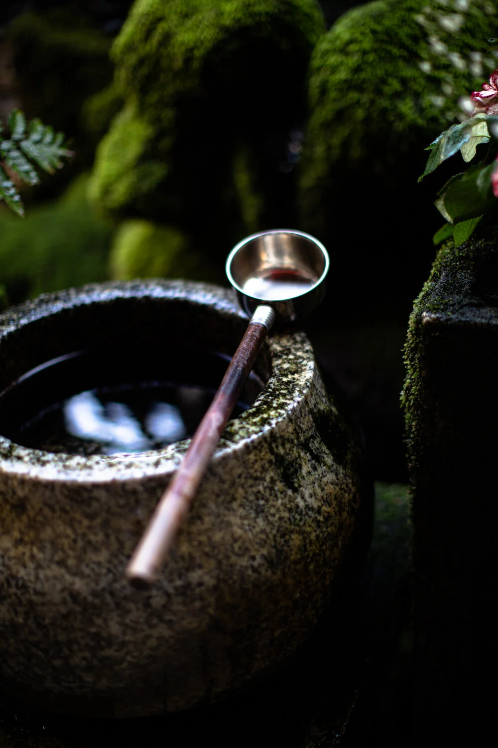Hidden Shrines of Osaka - Hozenji Yokocho — Style for Wanderlust